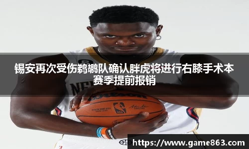 锡安再次受伤鹈鹕队确认胖虎将进行右膝手术本赛季提前报销